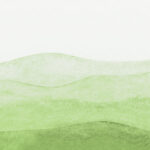 ONDAS 003