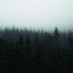 PAISAJE 009