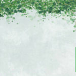 ENREDADERA 001