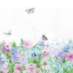 JARDIN 001