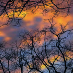 OTOÑO 001