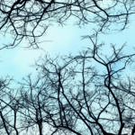 OTOÑO 003