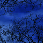 OTOÑO 004